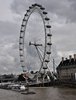 DSC_0035